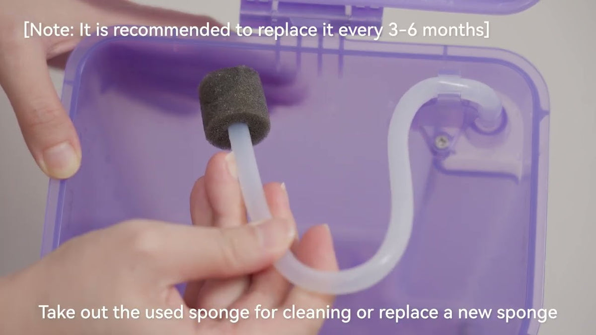 Clean_and_Maintain_the_Clean_Water_Tank